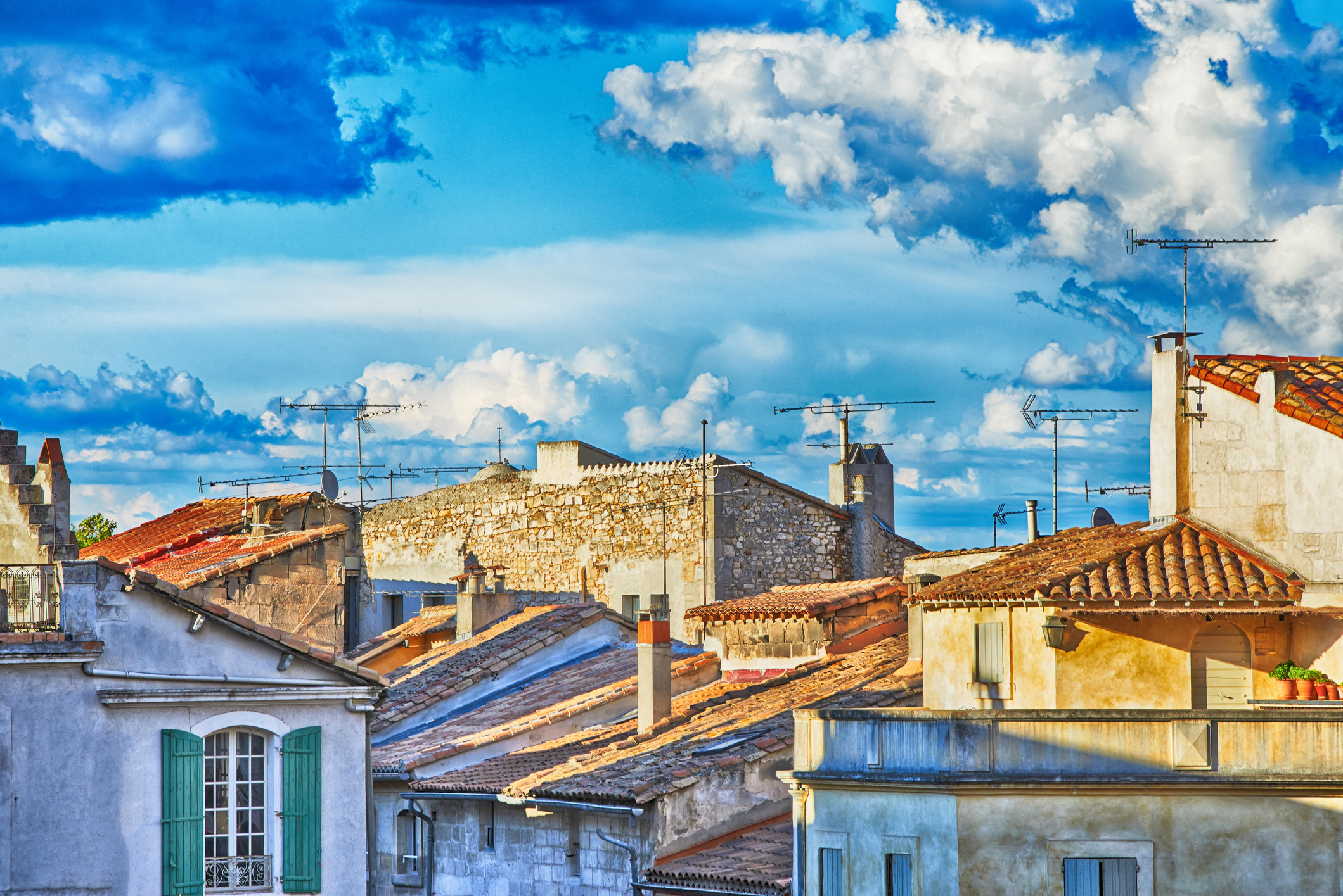 Lonely De kunst van het leven